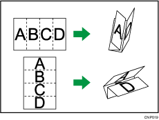 Illustration of Double Parallel Fold