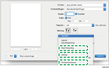 Illustration af driverskærmbillede