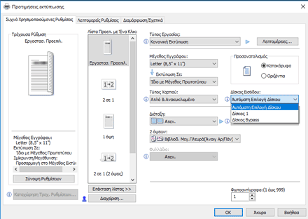 Εικόνα της οθόνης του προγράμματος οδήγησης