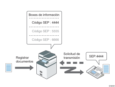 Ilustración del Box de información