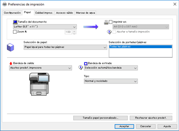 Ilustración de la pantalla del driver