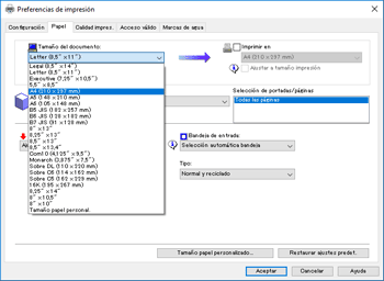 Ilustración de la pantalla del driver
