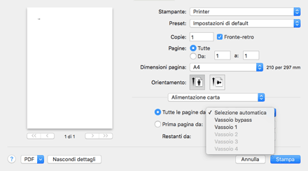 Immagine schermata driver