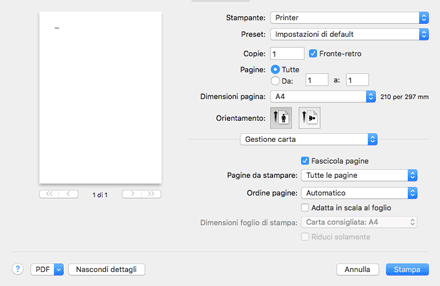 Immagine schermata driver