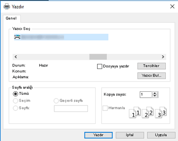 Sürücü ekranı gösterimi