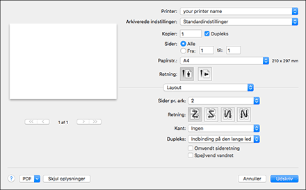 Illustration af driverskærmbillede