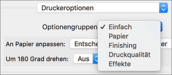 Abbildung Treiberbildschirm