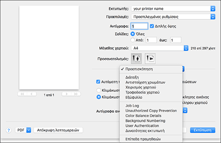 Εικόνα της οθόνης του προγράμματος οδήγησης