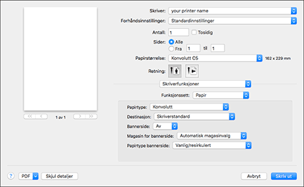 Illustrasjon av driverskjerm