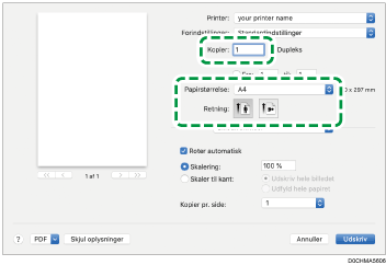 Illustration af driverskærmbillede