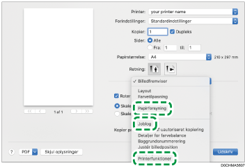 Illustration af driverskærmbillede