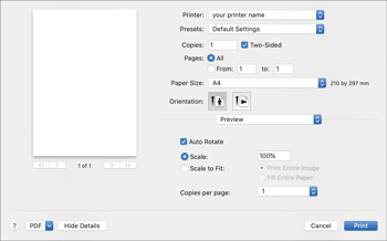 Driver screen illustration