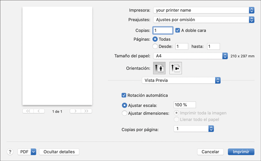 Ilustración de la pantalla del driver