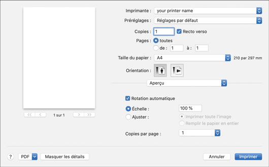 Illustration de l'écran Pilote