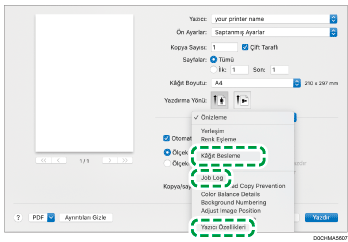 Sürücü ekranı gösterimi