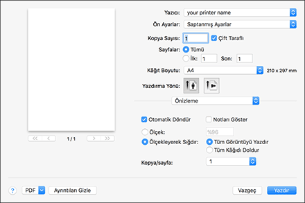 Sürücü ekranı gösterimi