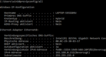 Abbildung Betriebssystembildschirm