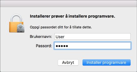 Illustrasjon av driverskjerm