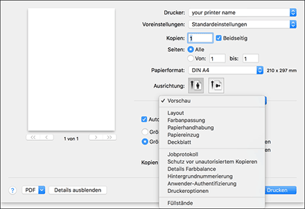 Abbildung Treiberbildschirm