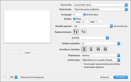 Εικόνα της οθόνης του προγράμματος οδήγησης
