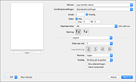 Illustrasjon av driverskjerm
