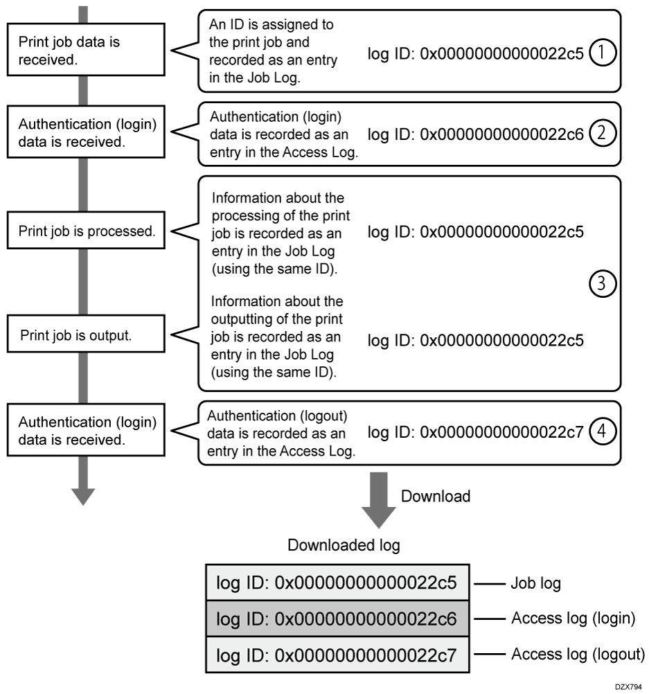 Illustration of the downloaded log file