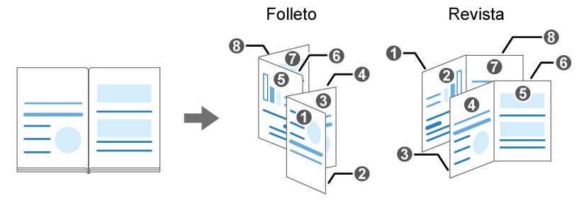 Ilustración de Duplicar libro