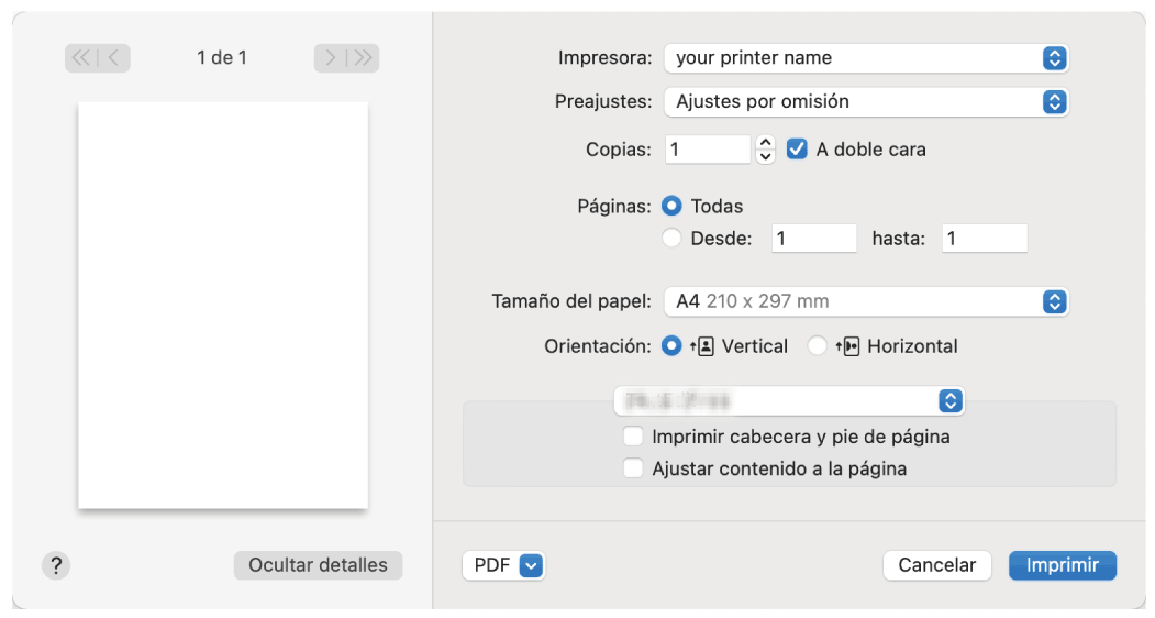 Ilustraci&oacute;n de la pantalla del driver