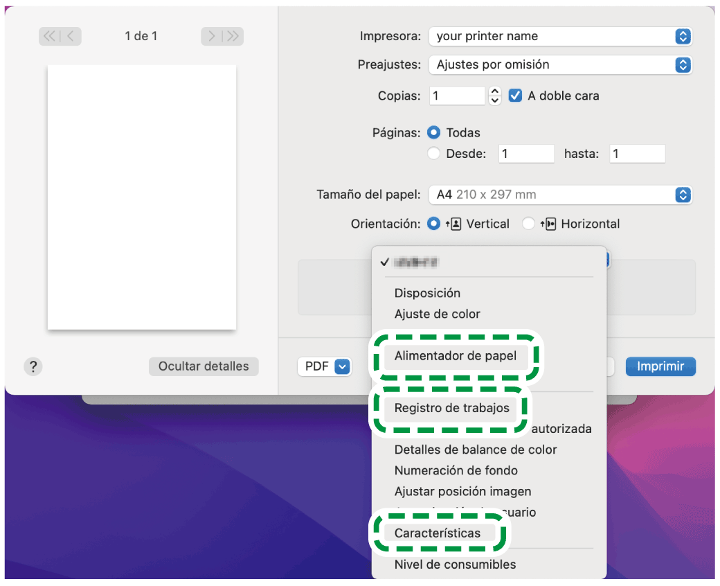 Ilustraci&oacute;n de la pantalla del driver