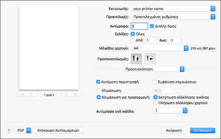 Εικόνα της οθόνης του προγράμματος οδήγησης