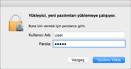 Sürücü ekranı gösterimi