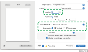Il·lustració de pantalla de driver