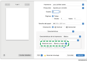 Ilustración de la pantalla del driver