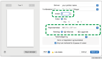 Illustrasjon av driverskjerm