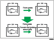 Иллюстрация точной настройки масштаба копирования с сносками