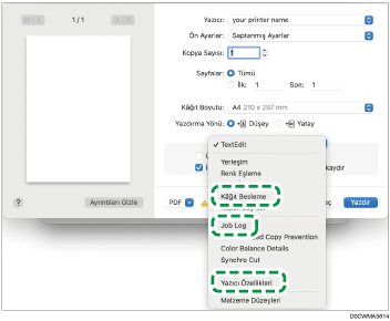 Sürücü ekranı gösterimi
