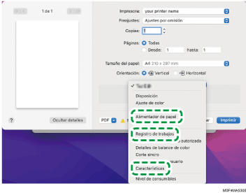 Ilustración de la pantalla del driver