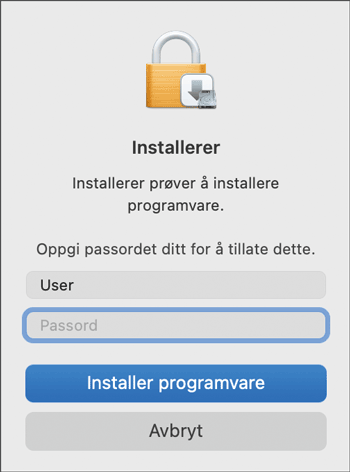 Illustrasjon av driverskjerm