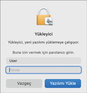 Sürücü ekranı gösterimi