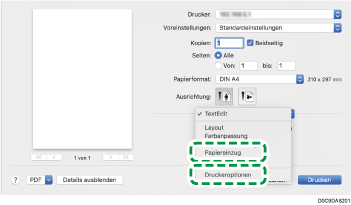 Abbildung Treiberbildschirm