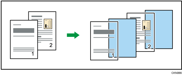 Illustrazione Foglio divisore