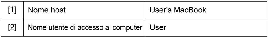 Illustrazione della verifica delle informazioni del computer