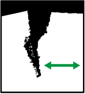 Illustrazione del foglio