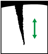 Illustrazione del foglio